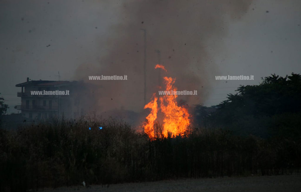 Lamezia, in fiamme vegetazione e sterpaglie in via Perugini: disagi