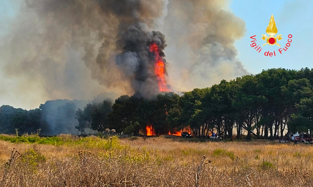 In fiamme pineta, macchia mediterranea e sterpaglie nel Crotonese