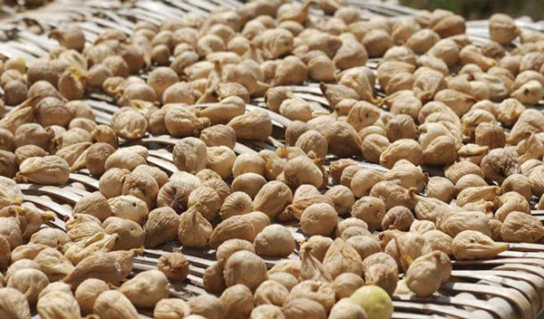 “Fichi di Cosenza Dop”, un primo risultato per la Camera di Commercio Cosenza
