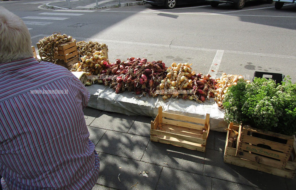 fiera-cipolla-aglio-piazza-mazzini-20232_33660.jpg