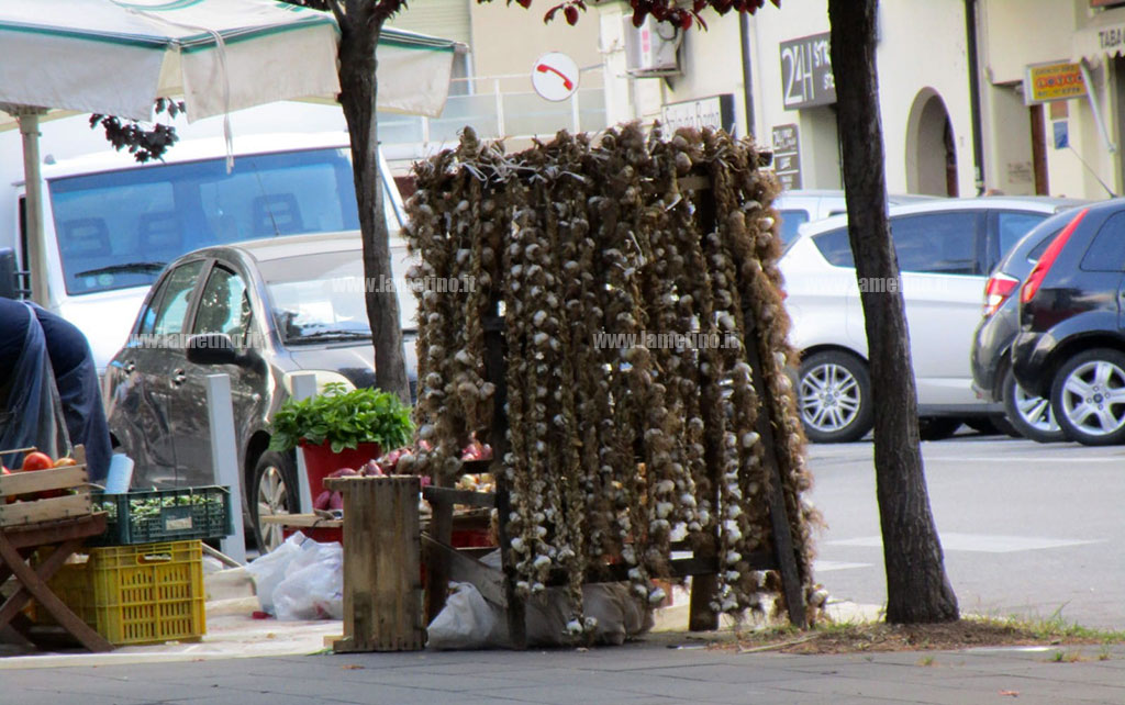fiera-cipolla-aglio-piazza-mazzini-20234bb_fe349.jpg