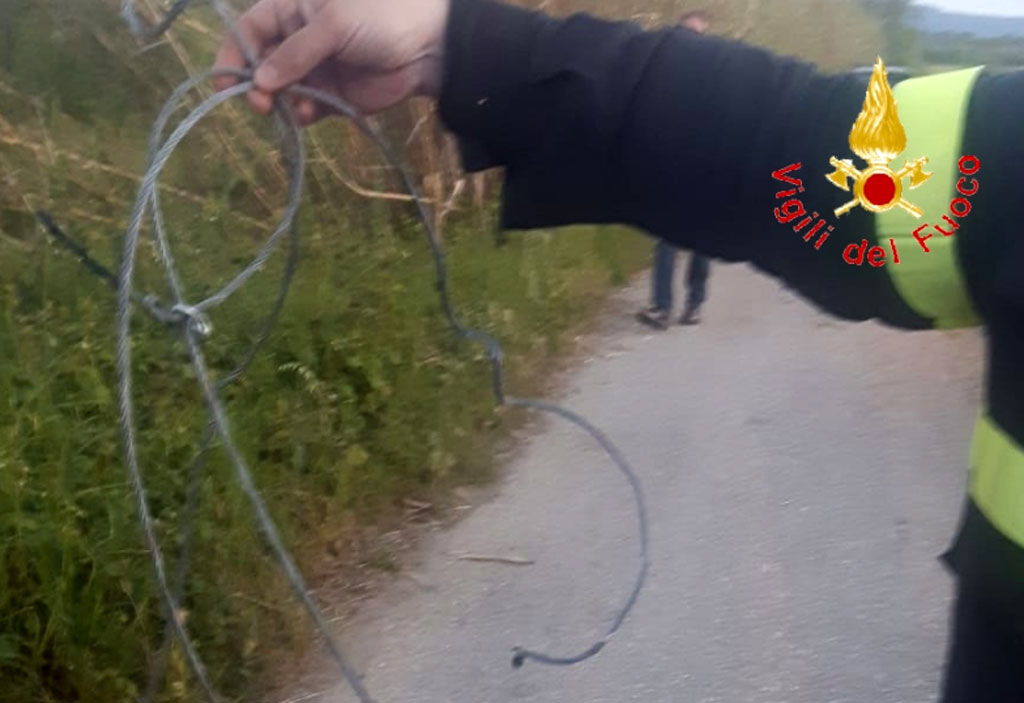 fili-cane-lamezia-1-maggio-19.jpg