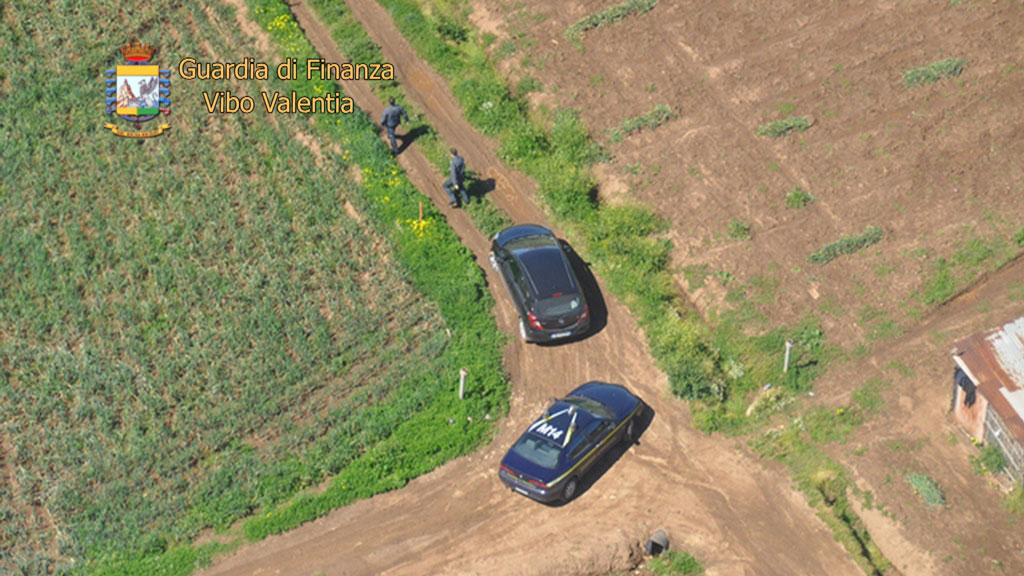 Scoperte frodi comunitarie per oltre 2 milioni nel settore agricolo a Vibo Valentia