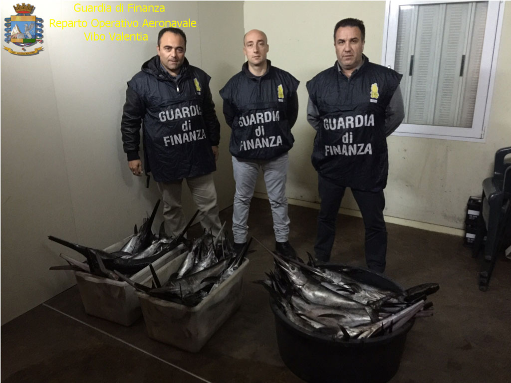 Gdf sequestra 1 quintale pesce spada sotto misura a Roccella Ionica