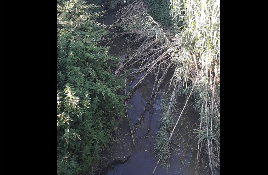 Lamezia, Gigliotti (Italia Nostra) su degrado fiume Canne
