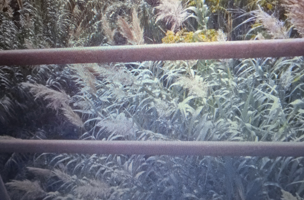 fiumi_e0b87.jpg