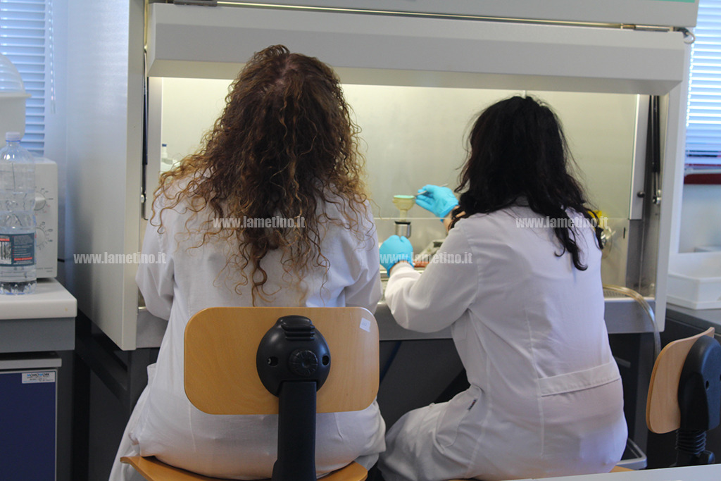 fondazione-terina-unical_protocollo_10-ottobre2018_4.jpg