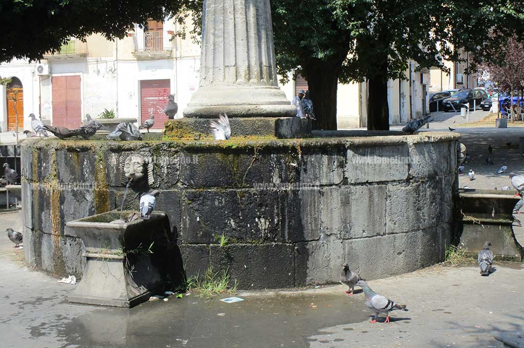 fontana-pzza-Mazzini-invasa-piccioni.jpg