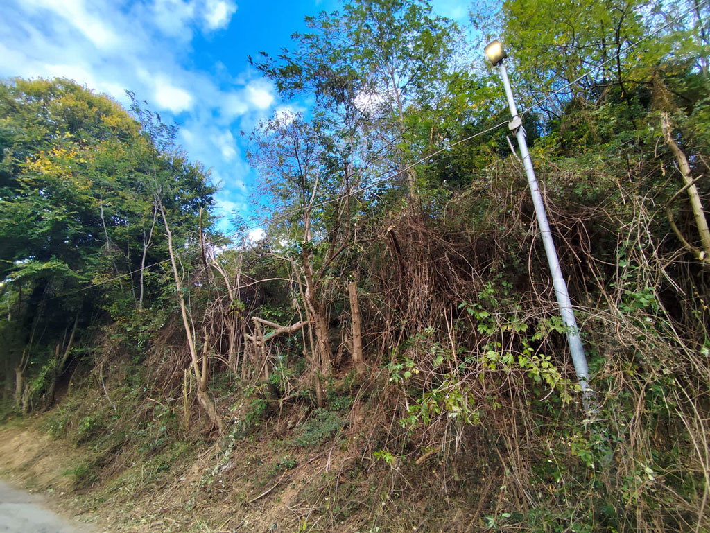 footA0052_73d98.jpg
