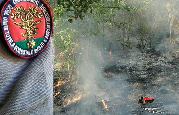 Incendi, omesse misure di prevenzione a Vibo: denunce e multe