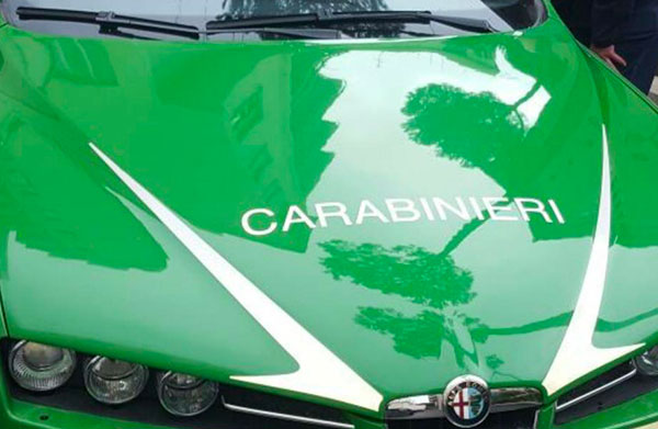 Falso e tentata truffa, denunce e sequestrata area boscata a Scala Coeli