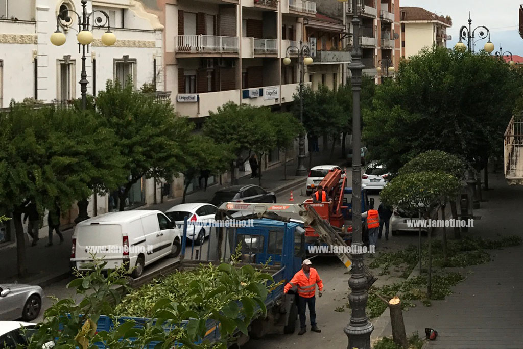 Lamezia, iniziati interventi di potatura per gli alberi di corso Nicotera