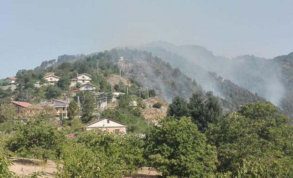 Fiamme nel catanzarese, canadair in azione in Presila 