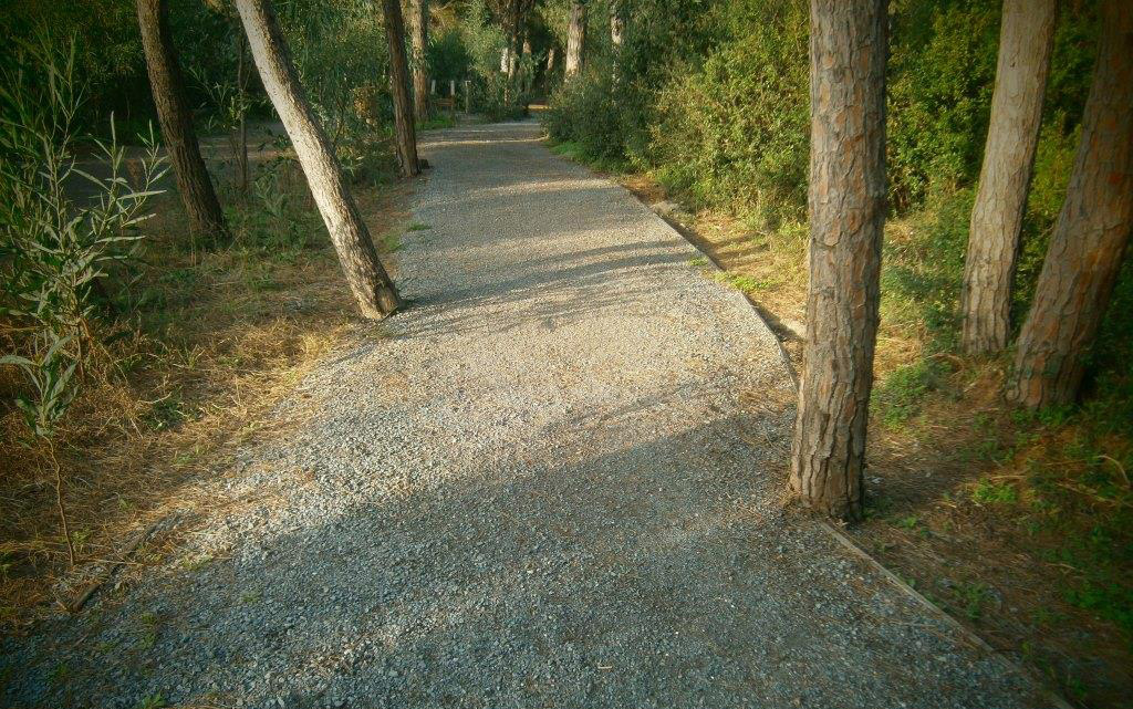 Lamezia, adesione a "Bandiera Azzurra - città della corsa e del cammino": la soddisfazione della Libertas Atletica