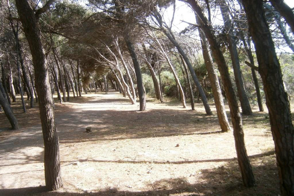 foto-2-Marinella2019.jpg