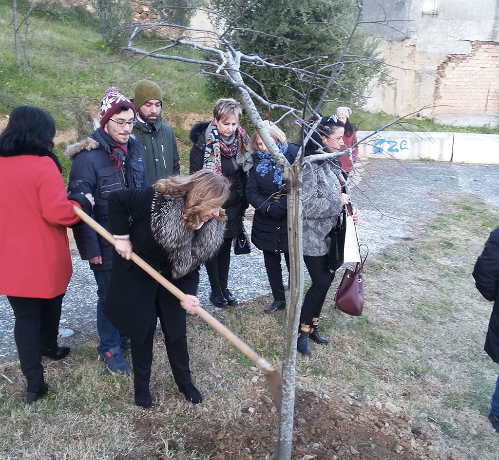foto-albero.jpg