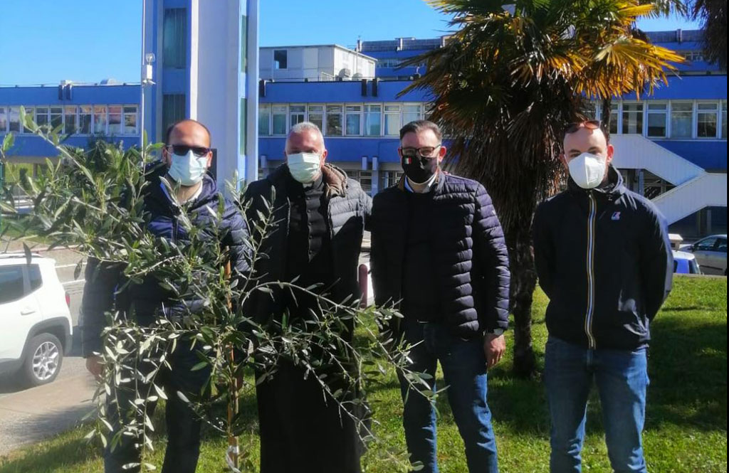 Lamezia, i "Giardini della memoria" per ricordare vittime di covid: piantati alberi d'ulivo all'ospedale