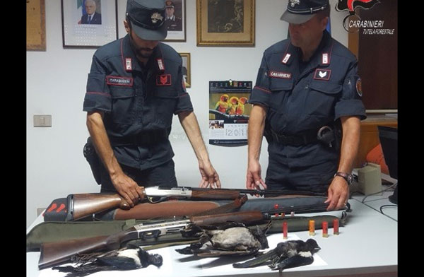 Lamezia, abbattimento illecito di fauna selvatica durante preapertura caccia: sequestrate armi