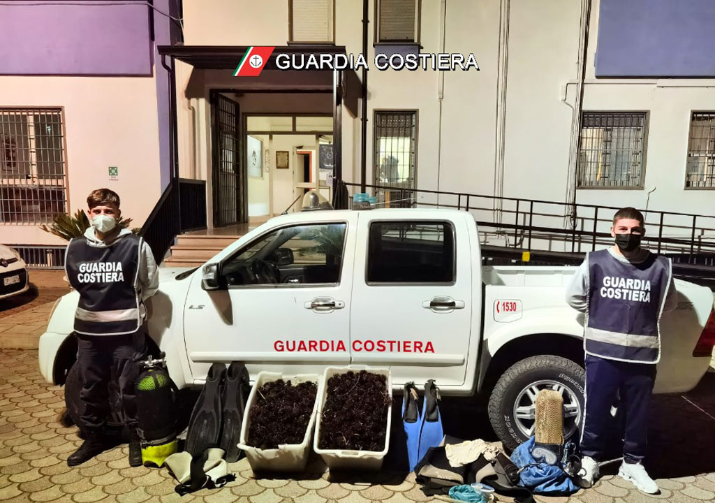 Trovati con 1.800 ricci di mare, multati 3 pescatori di frodo nel Cosentino