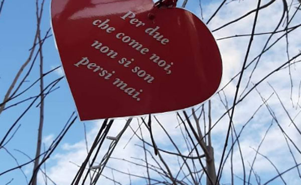 foto-cuore-20201.jpg