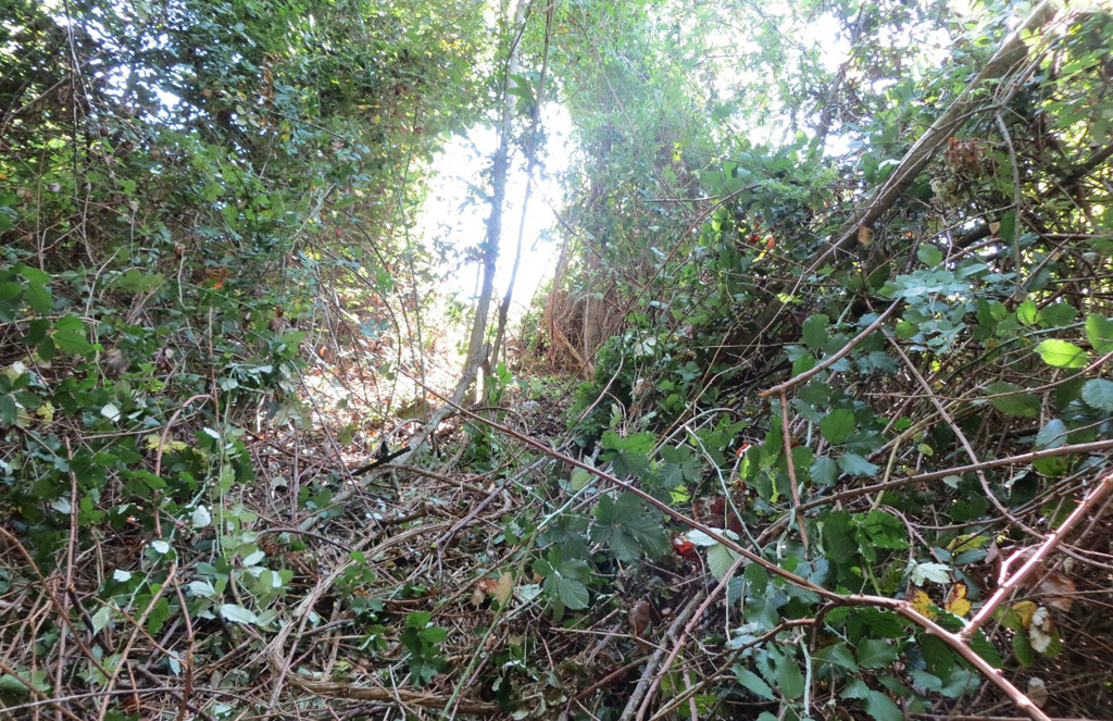 foto-dal-dirupo-verso-alto.jpg