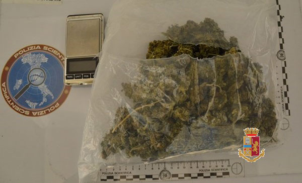 Giovane sorpreso con busta piena di marijuana a Catanzaro, arrestato