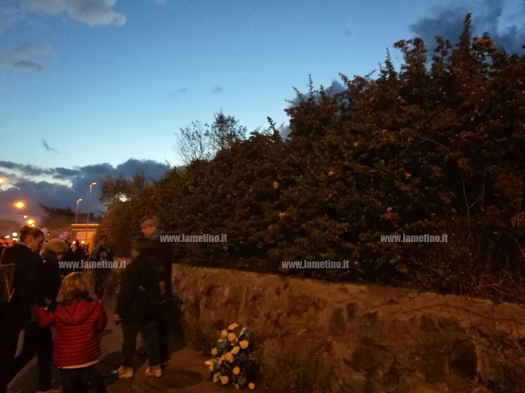 foto-lancio-rosa.jpg