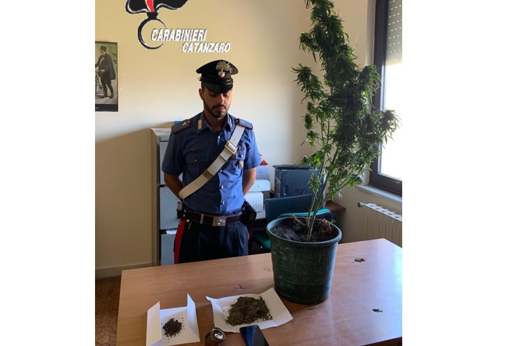 Trovato in casa con stupefacente e piantine marijuana, arrestato a Squillace