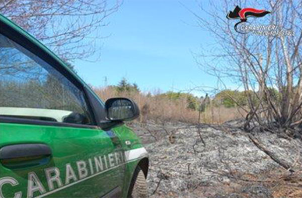Appiccano incendio in area protetta, 4 denunce a Vibo