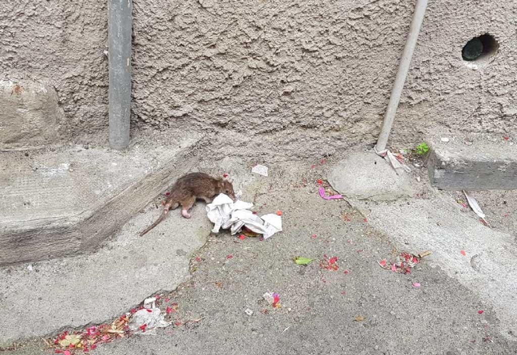 foto-via-isonzo-20191.jpg
