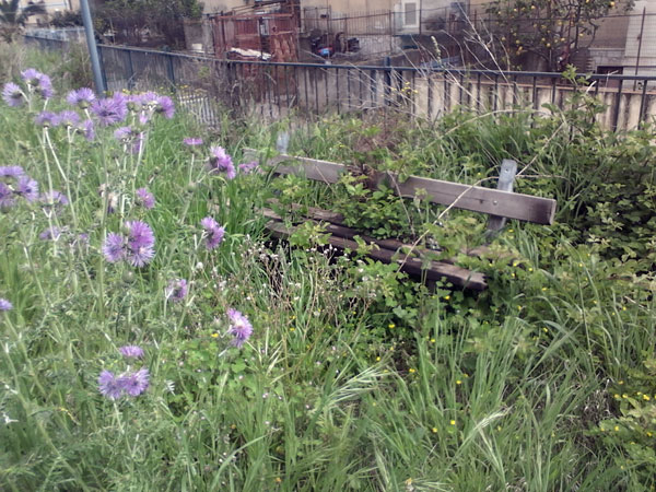 foto0000-0088.jpg