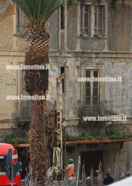 foto0000-0120.jpg