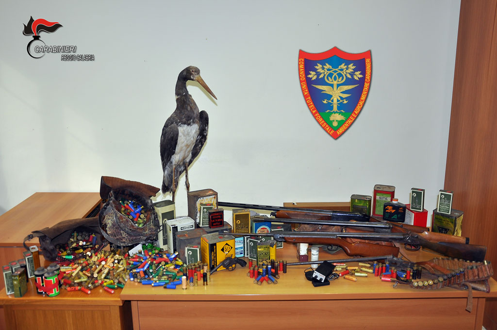 Antibracconaggio: sequestrate armi, munizioni e un esemplare imbalsamato di fauna protetta nel reggino 