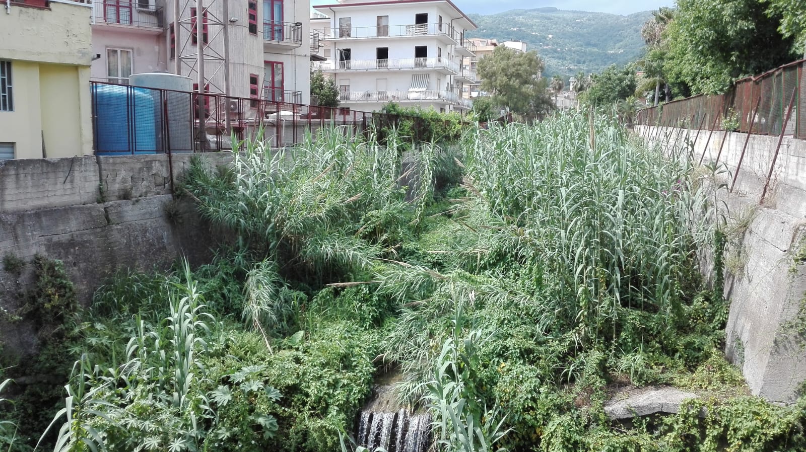 Lamezia, Filippone (Patto Sociale): "Torrente Cantagalli in stato di peggioramento, puntare sui contratti di fiume"