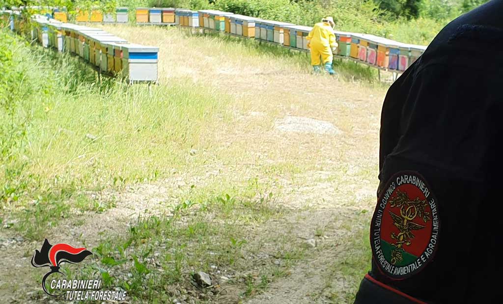 fotoapiario-cc-forestali.jpg