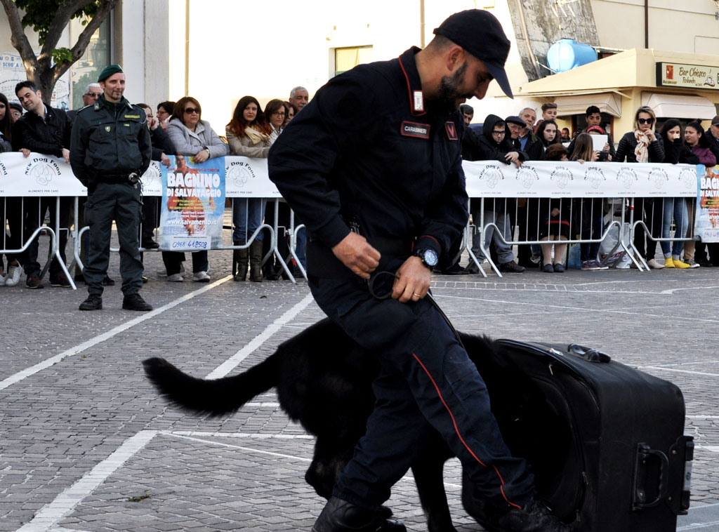 Lamezia, manifestazione di addestramento unità cinofile in piazza 5 Dicembre