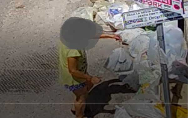 fototrappola2_09f2e.jpg