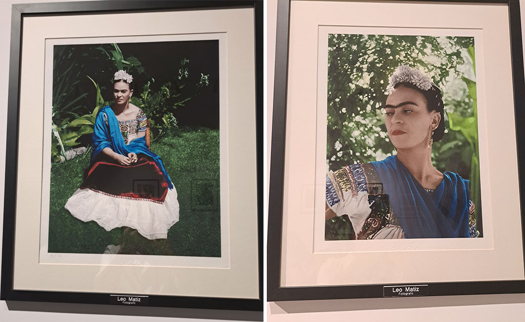 frida-mostra_4faf2.jpg