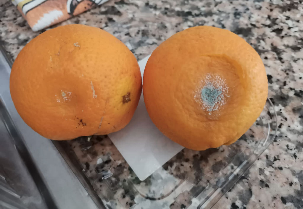 Lamezia, frutta marcia nelle scuole. Adiconsum: "Si facciano controlli preventivi"