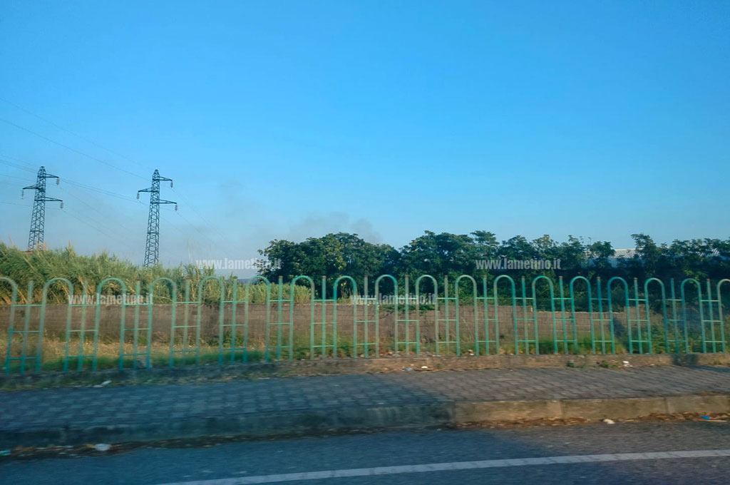 fumo2024-07-28-at-19.19.20_6c637.jpg