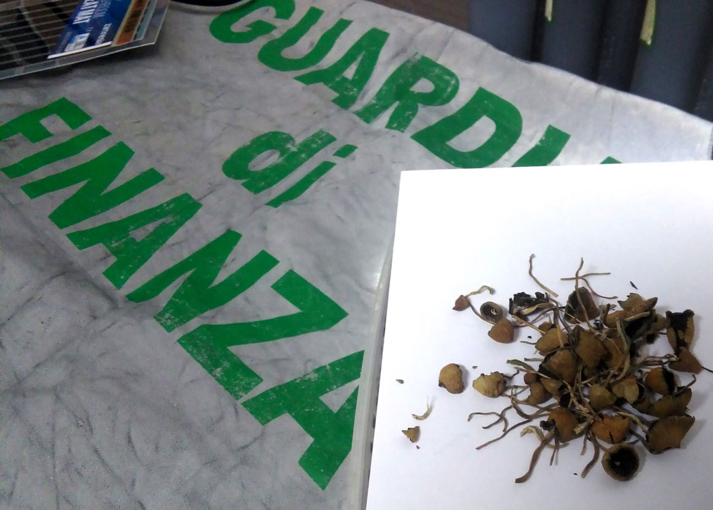 Sequestrati funghi allucinogeni a Cosenza, denunciato 23enne