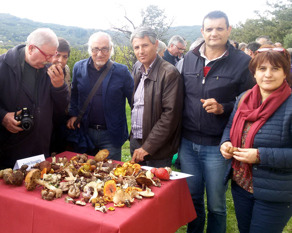 Micologi delle aziende sanitarie provinciali a confronto a Soveria Mannelli