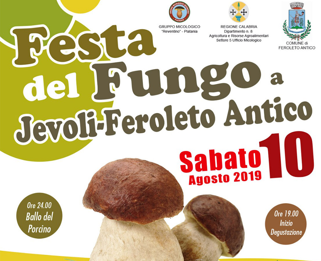  Tutto pronto per la “Festa del fungo” a Jevoli di Feroleto Antico il 10 agosto