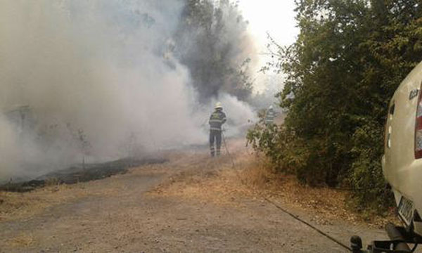 Incendi, arrestato piromane a Crotone dopo segnalazione cittadino