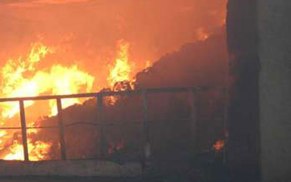 Incendiano abitazione a Isola Capo Rizzuto e restano ustionati, arrestati due giovani