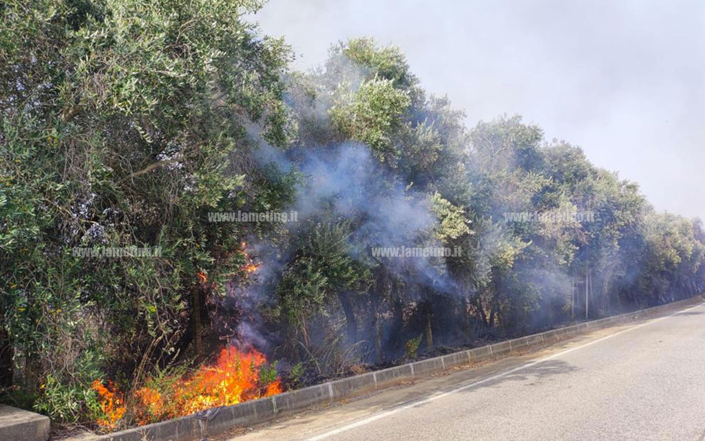 fuoco_dabc7.jpg