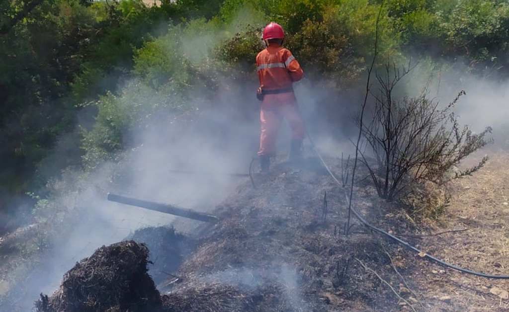 In fiamme alberi e macchia mediterranea a Tiriolo, fuoco lambisce abitazioni