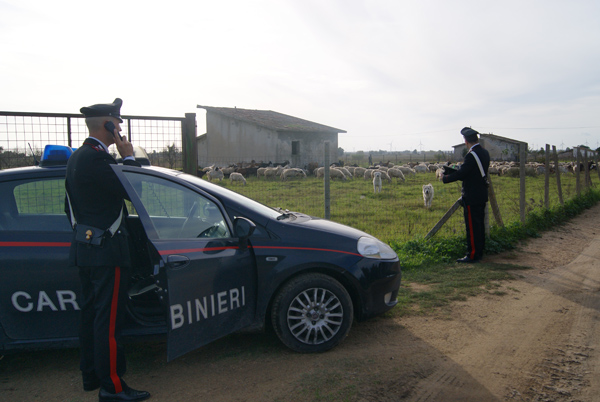 Calabria: Furti in aziende agricole, arrestato muratore 52enne 