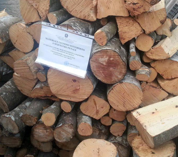 Due denunce del Corpo forestale per furto legname a Cerisano