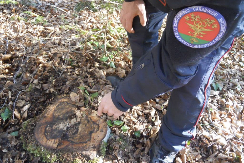 Falsificano contratto di compravendita e invadono proprietà altrui, denunciati a Serra San Bruno
